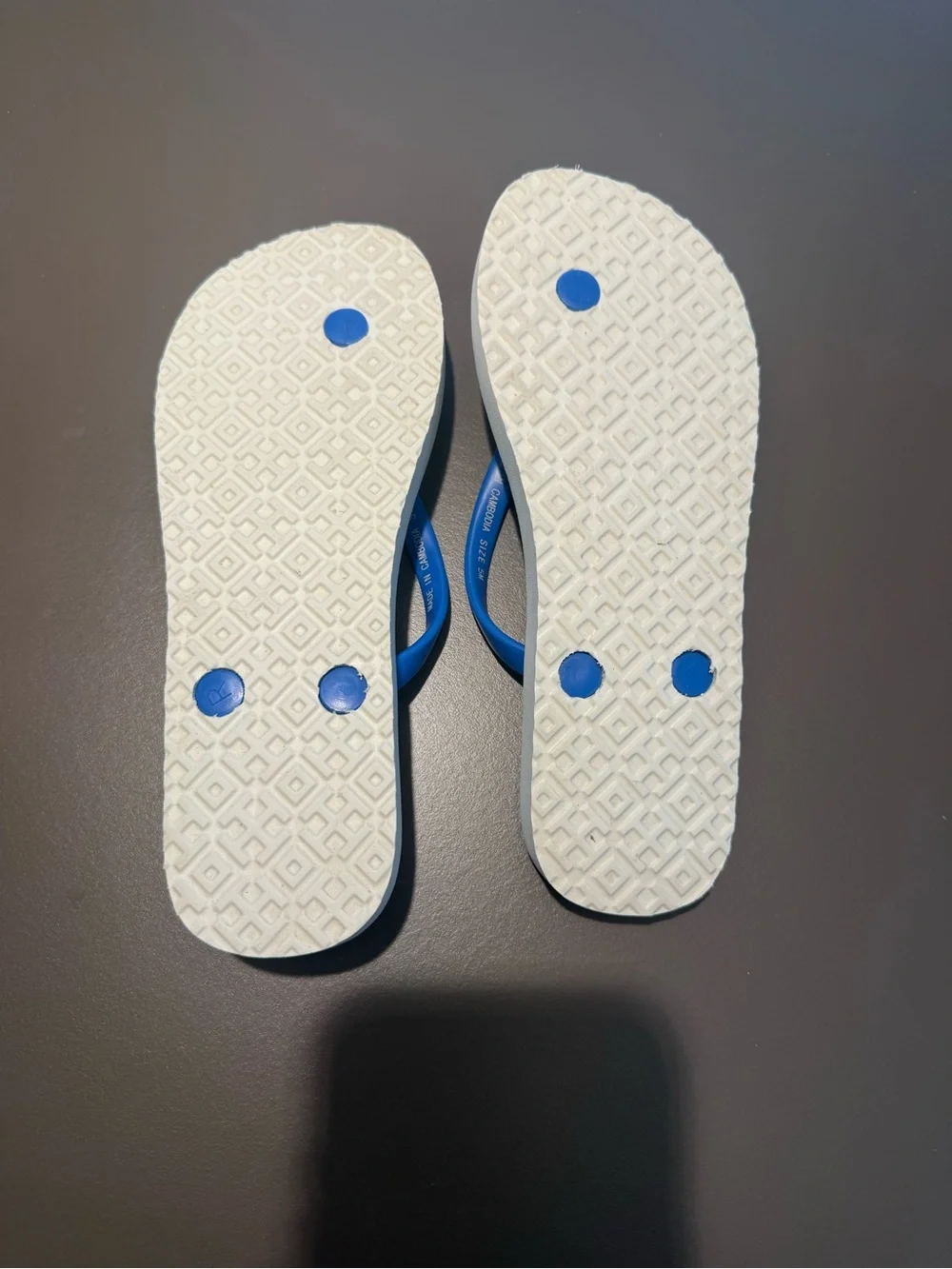NWOT Tory Burch Wisteria Blue White Lark Gold Logo Flip Flops Size 5